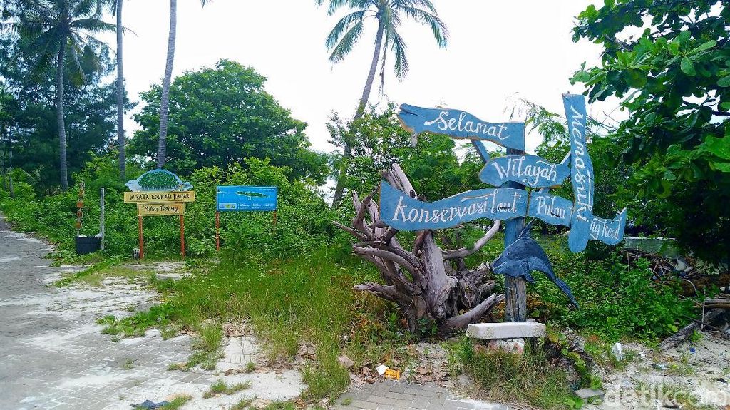 Banyak Kucing di Pulau Tidung Kecil, Ternyata Ini Sebabnya